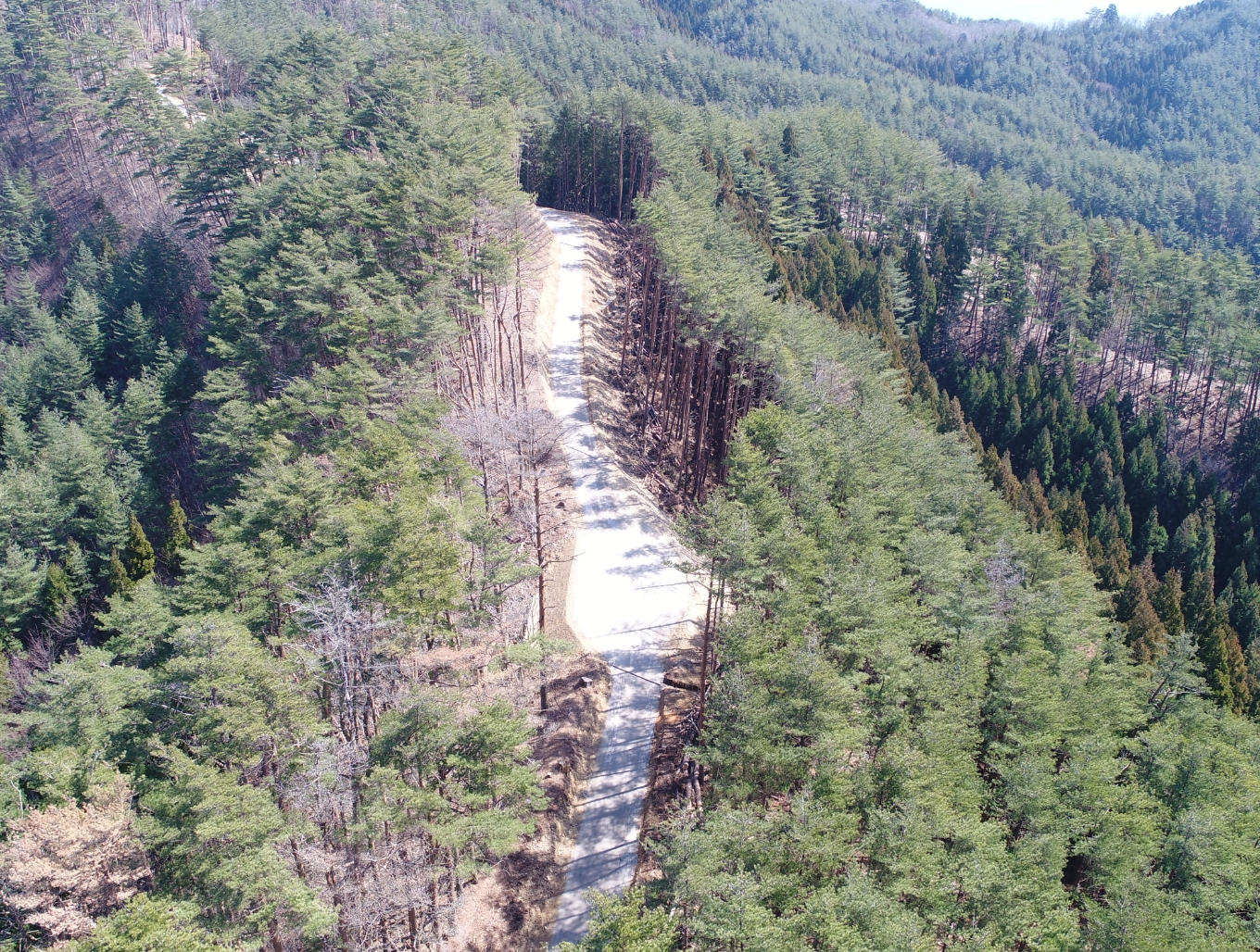 御伊勢浜海岸第２治山工事