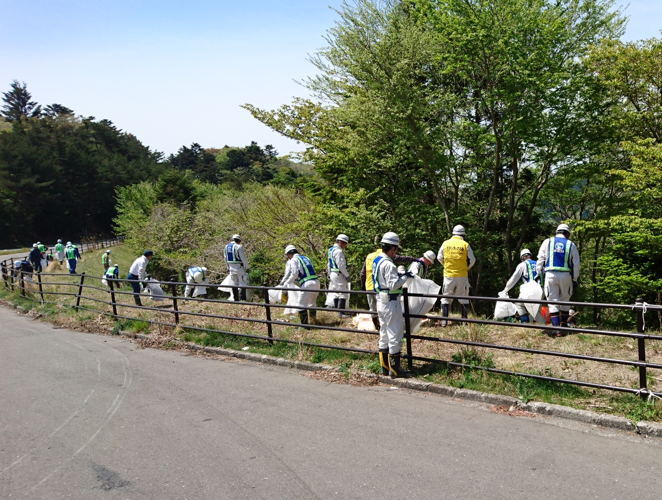 御伊勢浜海岸第２治山工事